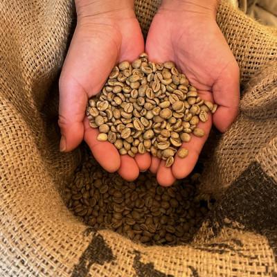 ふるさと納税 高石市 【豆】ネコグラ珈琲焙煎所の煎りたて挽きたて香り高いこだわり3種詰め合わせパック |  | 02