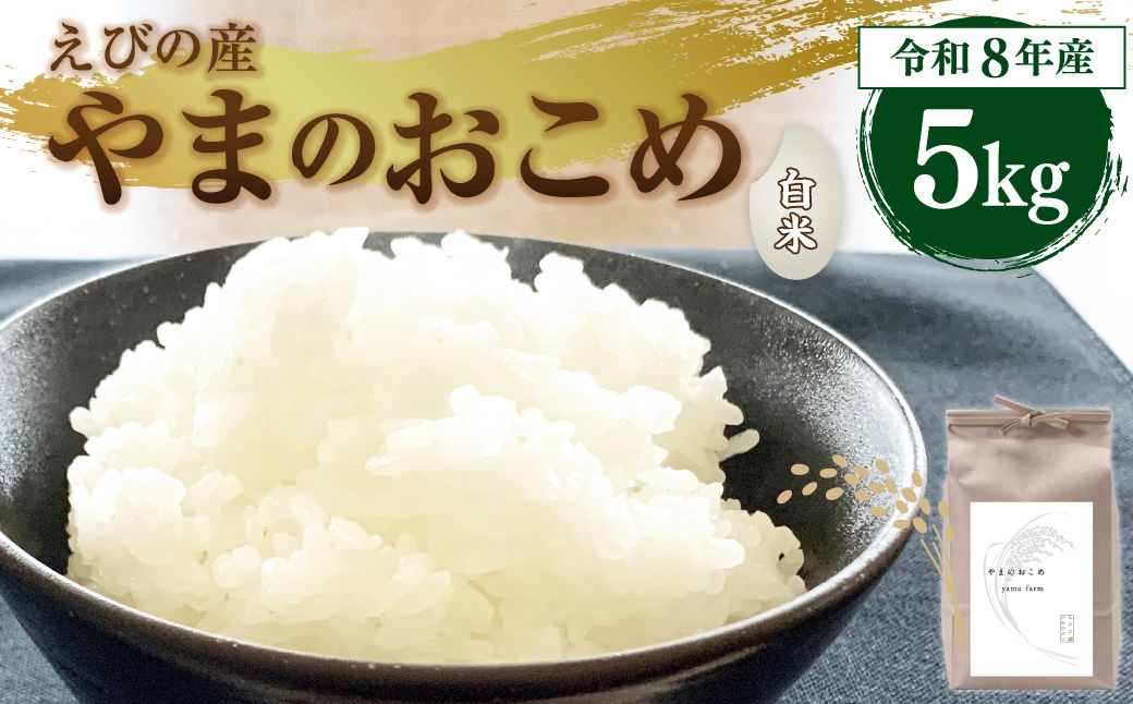 【令和8年産】えびの産 ヒノヒカリ やまのおこめ 5kg 白米 お米 米 国産 宮崎県 九州 ひのひかり 送料無料 おにぎり こめ コメ