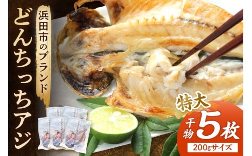 浜田市のブランド「どんちっちアジ」干物特大（200gサイズ）5枚個包装 魚 魚介類 海鮮 アジ 加工品 個包装 冷凍【019_1952】