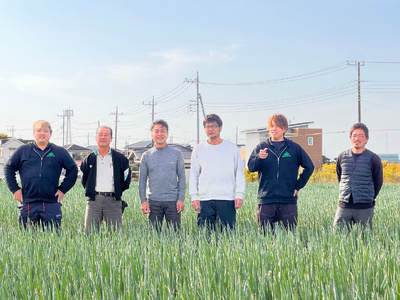 越谷ねぎ（白ねぎ5kg） ／ ネギ 葱 白ネギ 白葱 野菜 甘み 辛み 埼玉県 No.029