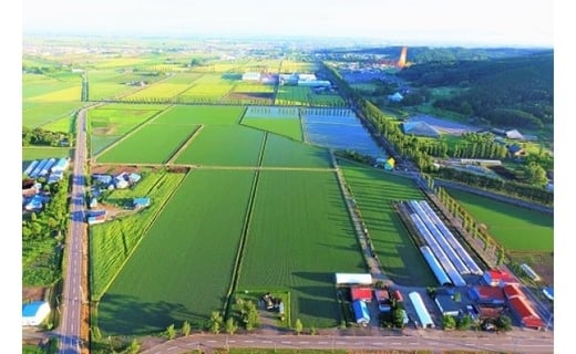 北海道米希少品種「あやひめ」と旨辛の「ご飯のおとも」セット【18004】