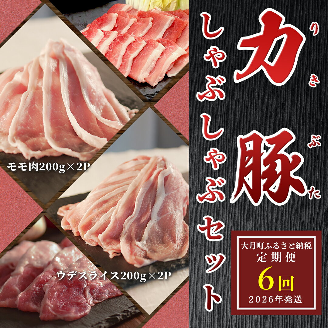 【ふるさと納税】【定期便 6回】ブランド豚 力豚しゃぶしゃぶセット