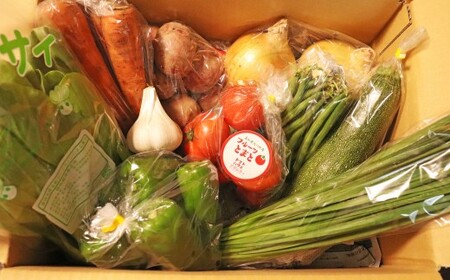 【ふるさと納税】＜南国高知から直送！旬の季節のお野菜セット（7～9品）＞高知県 佐川町 野菜便 詰め合わせ 旬の時期にお届け こうち育ち【冷蔵】