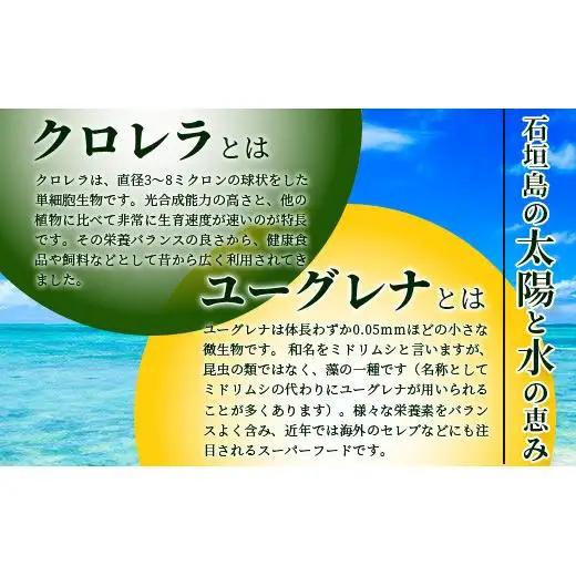 ≪そうめん≫そうめん≫石垣島のユーグレナ＆クロレラ入り乾麺(4セット入り化粧箱×１箱、合計４セット）AR-2