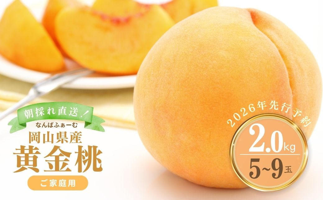 【2026年先行予約】［なんばふぁーむ］岡山県産 黄金桃 2.0kg（5?9玉）［ご家庭用］【039-a006】
