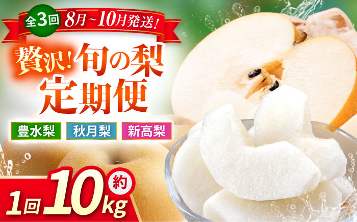 【先行予約】【3回定期便】 梨 約10kg 計約30kg（豊水・秋月・新高） 梨 ナシ フルーツ 果物 【日本フルーツ株式会社】 [ZFJ025]