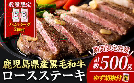 
            ＜14営業日以内に発送！＞＜2枚・計約500g＋ハンバーグ2個＞4等級以上！鹿児島県産黒毛和牛ロースステーキ2枚セット 黒毛和牛 ステーキ 冷凍【ナンチク】B1-01-v04
          