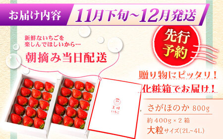 【先行予約】【11月下旬〜12月発送】王様のいちごさがほのか400g×2箱むらおか農園 HAF002 いちごいちごいちごいちご