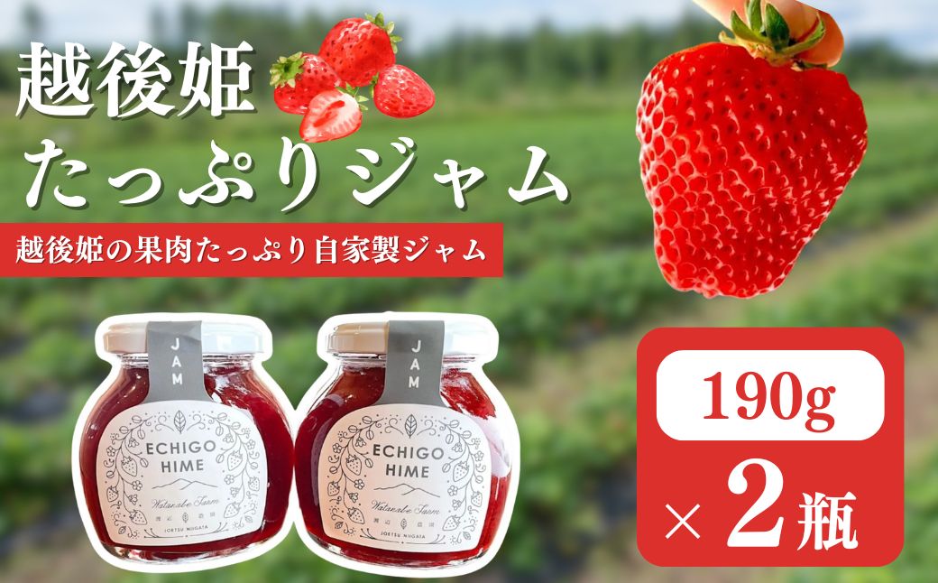 いちご 越後姫 ジャム 190g×2個 からだよろこぶ越後姫 イチゴ 苺 定植後化学農薬不使用 渡辺農園 上越市 新潟県