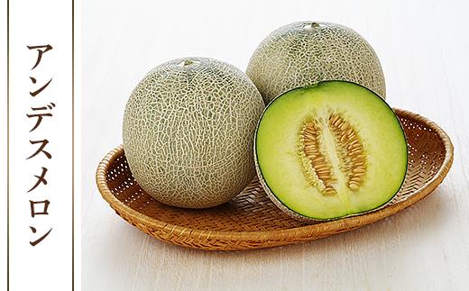 007-1茨城県産アンデスメロン【秀品】約2kg（2玉）
