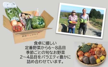 【３ヶ月 定期便】【野菜ソムリエ選定】 肥前の国のお野菜定期便 新鮮 採れたて 野菜 直売所 野菜 8～10品目 D-77