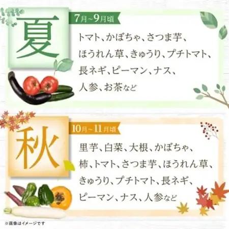 季節の野菜 詰め合わせ「スペシャルコース」_菓子・スイーツ 和菓子    果物・フルーツ 柿（カキ）  かき  野菜 ねぎ  ネギ 葱  野菜 アスパラガス    野菜 さつまいも いも サツマイモ 