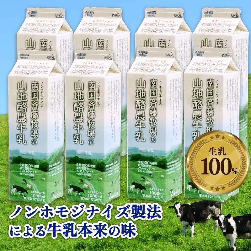 【定期便 12回 週1】山地酪農牛乳 1L×8本 低温殺菌 牛乳 南国斉藤牧場 