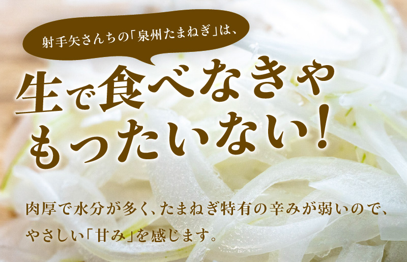 射手矢さんちの泉州プレミアムたまねぎ 20kg 【玉ねぎ タマネギ 玉葱 甘い 野菜 国産 期間限定 オニオン スライス サラダ カレー シチュー バーベキュー BBQ 肉じゃが】 G1320