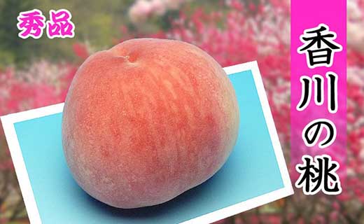＜滴る果汁とあふれる果肉が自慢＞香川産の桃 4kgセット【先行予約・2025年6月下旬より順次発送】