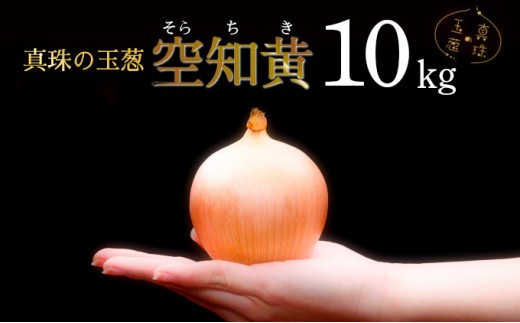 真珠の玉葱 空知黄 10kg ＜海のミネラルで育てた幻の玉葱 空知黄＞｜玉ねぎ たまねぎ タマネギ 北海道産 岩見沢市【a134-006】【50106】
