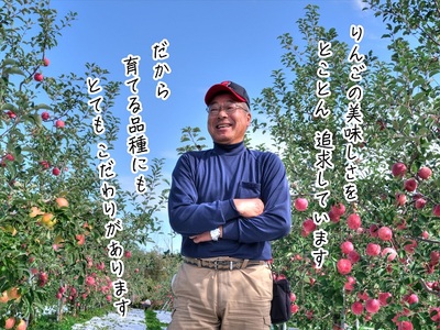 りんご おいらせ ヒバリノ園 青森県産 りんご【約5kg(6～10玉)】