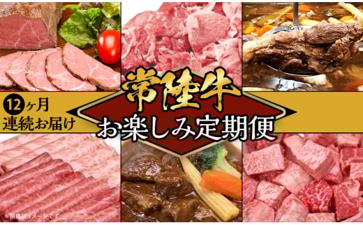 【定期便】【令和6年1月～発送開始】【全12回】常陸牛お楽しみ定期便（12ヶ月連続でお届け）【常陸牛 和牛 牛肉 定期便 ハンバーグ  国産 贅沢  6か月 6ヶ月 牛 肉 常陸】