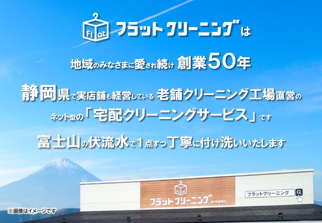 フラットクリーニング　10点スピードパック利用券