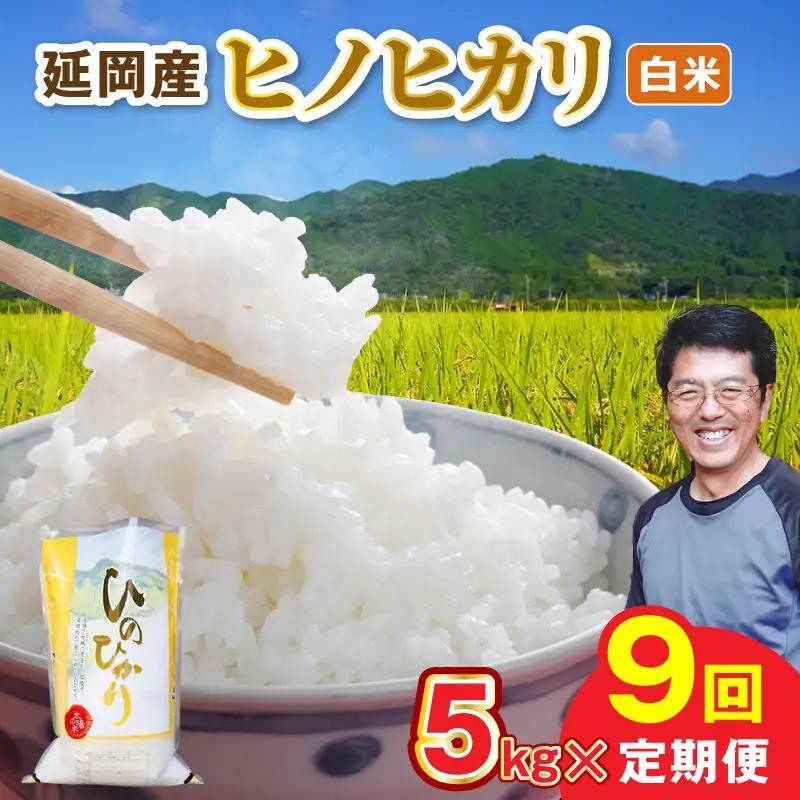 延岡産ヒノヒカリ（白米）5kg 9ヶ月定期便 N0218-YG0264