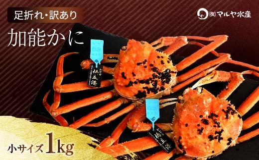 
            【時期が選べる】【先行予約】【冷蔵発送】石川県産 加能かに ズワイガニ ( 産地証明タグ付 ) 訳あり 足折れ 小サイズ 2～3匹 合計1.0kg 産地証明 訳あり 家庭用 自宅用 足折れ 先行予約 予約 ブランド蟹 ボイル 茹で 蟹 復興 震災 コロナ 能登半島地震復興支援 北陸新幹線 F6P-0691 クラウドファンディング 実施中 GCF
          