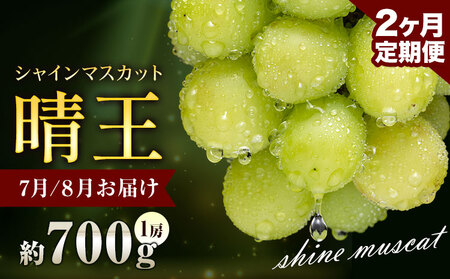 【先行予約】ぶどう シャインマスカット 晴王 700g 1房 2ヶ月定期便 彩美菜果《7月上旬-8月末頃出荷》 マスカット 送料無料 岡山県 浅口市 フルーツ 果物 贈り物 国産 岡山県産 くだもの 果物 7月 8月発送 【配送不可地域あり】（北海道・沖縄・離島）