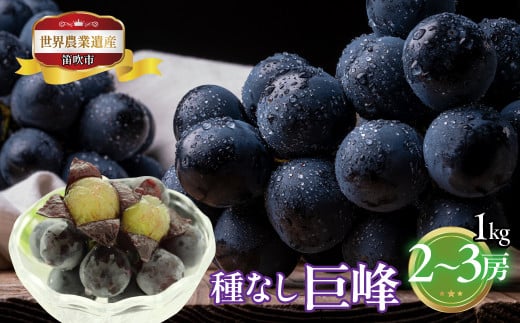 【2026年発送★先行予約】山梨県笛吹市産　種なし巨峰　1kg　2～3房 223-003-26y