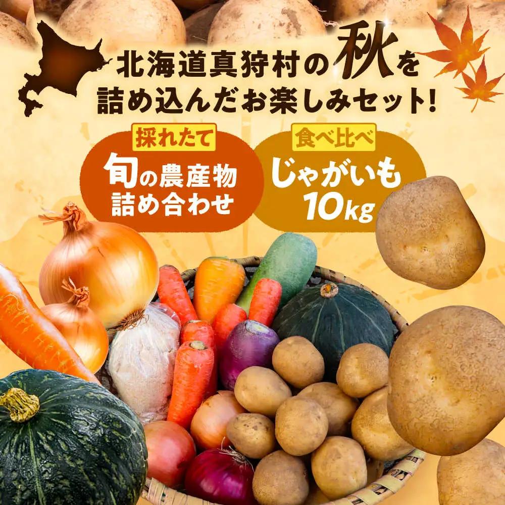 【先行予約】 秋の味覚セット（大）[BPAM004] 野菜セット 北海道