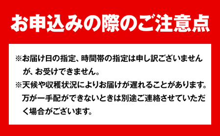 【先行予約】岡山県産 白桃 （早生種） 約1.3kg （5～6玉） クール便 晴れの国 おかやま館(漂流岡山) 《2024年6月下旬-8月中旬頃発送予定》岡山県 浅口市 白桃 桃【配送不可地域あり】