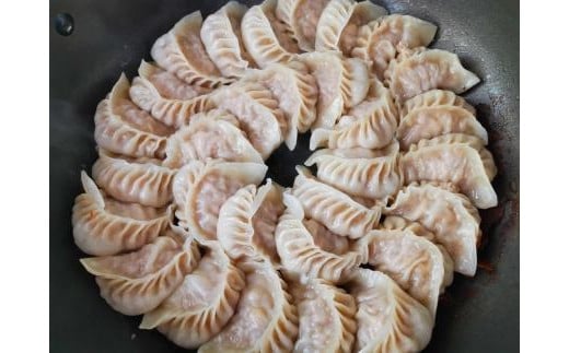 【手作り】八海山もち豚餃子 50個入り 南魚沼特産 舞茸入り 国産 こだわり もちぶた ぎょうざ ギョウザ 冷凍 国産 豚肉 ポーク 国産野菜 中華 点心 惣菜 おつまみ 晩酌 お取り寄せ グルメ 大和 送料無料 新潟県 南魚沼市