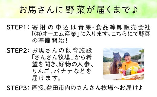 さんさん牧場で余生を過ごしている競走馬にあたたかいご支援をお願いします♪