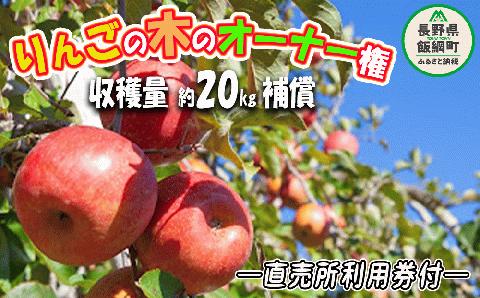 りんごの木オーナー ＜ サンふじの木 ＞ 家庭用 ? 特秀 約 20kg 補償 直売所利用券つき 収穫期間：2024年11月中旬?2024年12月初旬 令和6年度収穫分 長野 飯綱町 [1563]