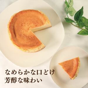 ベイクドチーズケーキ 5号 チーズケーキ チーズケーキ チーズケーキ チーズケーキ