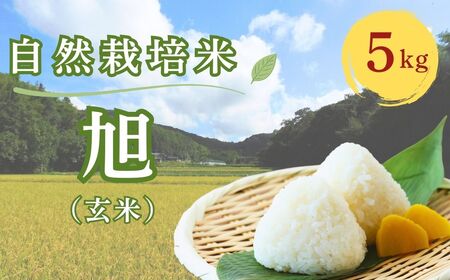R7年産 自然栽培米 旭（玄米）5kg | 豊後高田市