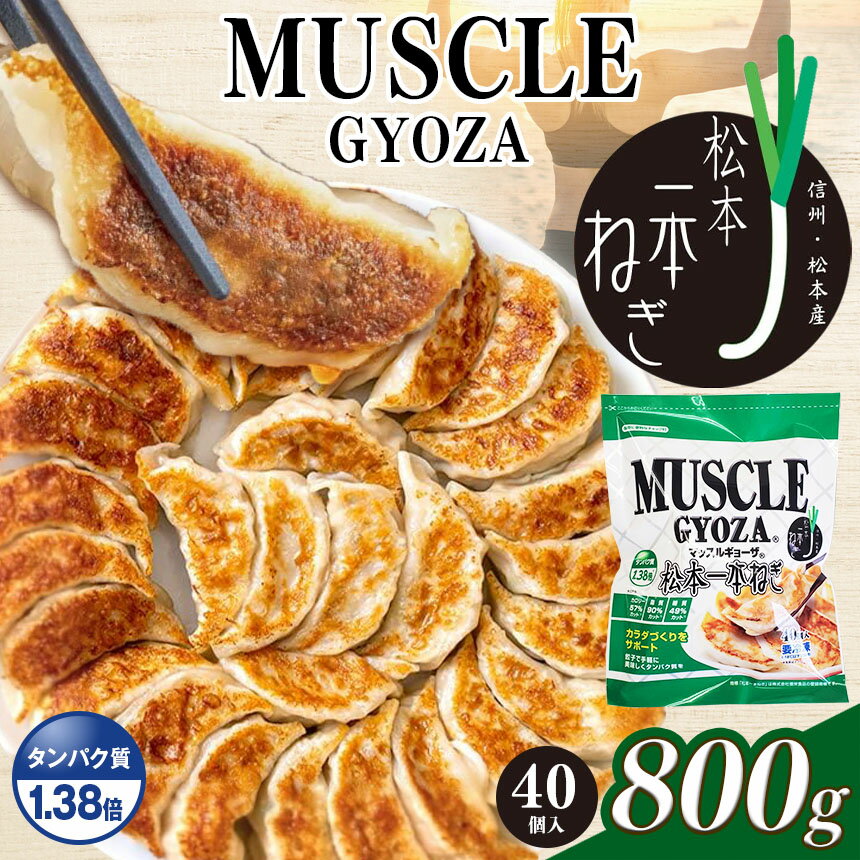 【ふるさと納税】【選べる定期便】　 MUSCLE GYOZA ～ マッスルギョーザ ～ 松本 一本ねぎ｜ふるさと納税 餃子 ギョーザ ねぎ ネギ タンパク質 低糖質 マッスルギョーザ 長野県 松本市