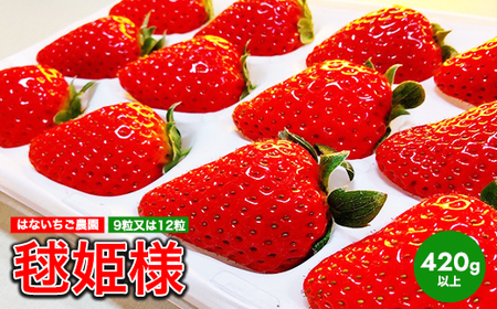 はないちご農園「毬姫様」9粒または12粒※着日指定不可※北海道・沖縄・離島への配送不可※2025年1月上旬～2月下旬頃に順次発送予定