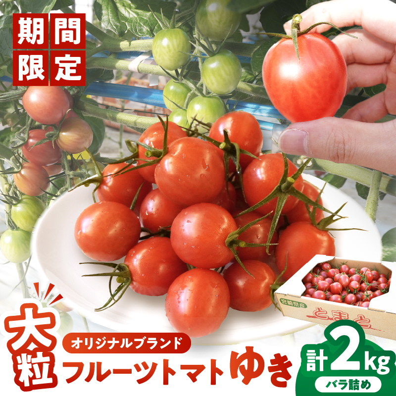 ≪期間限定≫オリジナルブランド「フルーツトマトゆき」計2kg _T047-0041【ミニトマト 野菜 サラダ 国産 人気 ギフト 食品 とまと フルーツ 新鮮 お土産 贈り物 送料無料 プレゼント】