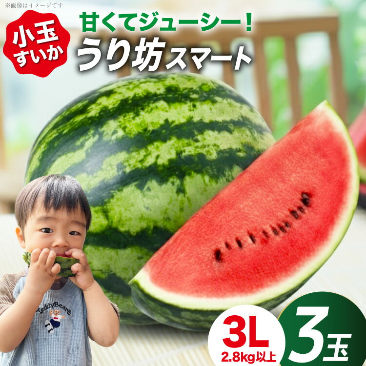 【ふるさと納税】 BJ637 【令和9年度出荷分】 スイカ うり坊スマート 3Lサイズ(2.8kg以上) 3玉 [ 小玉スイカ うり坊 ウリ坊 うりぼう ウリボー まるき農園 長崎県 島原市 ]