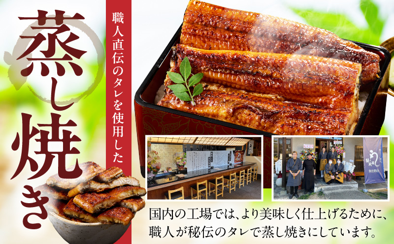 【土用の丑の日までにお届け】うなぎ 蒲焼き 暴れ盛り 合計 900g【鰻 真空パック 簡単調理 訳あり サイズ不揃い 人気 惣菜 うな重 うな丼 ひつまぶし にも 大阪 泉佐野 大阪府 泉佐野市】
