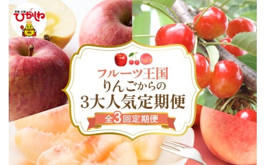 【全3回定期便】2025年りんごからの３大人気定期便 千笑花夢提供 山形県 東根市 hi082-036