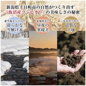 コシヒカリ 令和7年産 魚沼三昧 2kg×3 精米 コシヒカリ