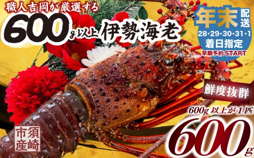 【年末予約配送・1日着】特大 伊勢海老 1匹 活 伊勢海老 エビ いせえび 人気伊勢海老 伊勢海老刺身 生き 活魚 高級 鮮魚 海鮮 魚介 刺身 お造り 焼き物 汁物 魚介類 国産 伊勢海老国産 人気 便利 お手軽 祝い お祝い 元旦着 年末 年始 お正月 おせち パーティー 贅沢 豪華 ギフト プレゼント お取り寄せ 早期予約 wakeari iseebi