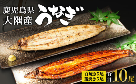 鹿児島県 大隅産 千歳鰻 白焼き 5尾・ 蒲焼 5尾　合計10尾セット（1尾110g～130g）| 白焼き