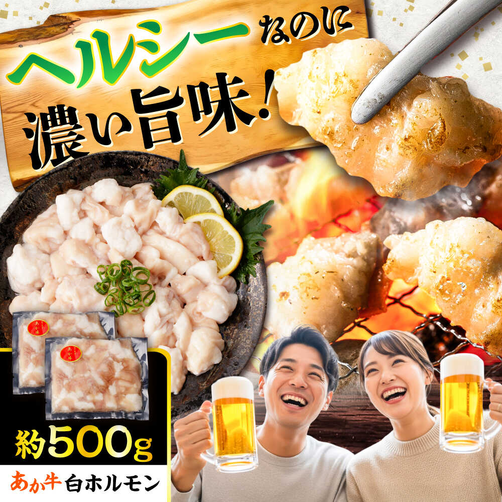 【ふるさと納税】あか牛 白 ホルモン 約500g (約250g×2P) / 牛肉 褐毛和種 ホルモン 肉 九州産 国産牛 熊本県産 小分け あかうし 鍋 焼肉【五右衛門フーズ】[BHCY009]