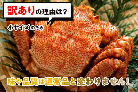 ＜2025年1月から順次発送＞ 訳あり 北海道産 浜ゆで 毛ガニ 4尾 (  1尾あたり 200g ～ 300g )  ＜ 予約商品 ＞ 毛蟹 毛がに かに味噌 カニ味噌 新鮮 旬 ボイル 浜茹で 海