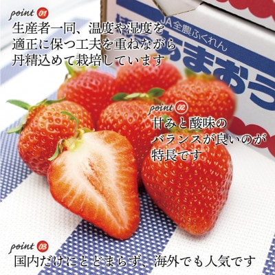 【2026年12月上旬～27年1月下旬発送予定】博多あまおう(冬)250g-270g×4P(岡垣町)【配送不可地域：離島】