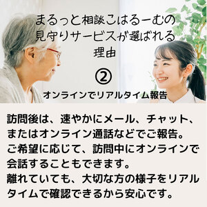 【親孝行は、ふるさと納税で】　ふるさとへ贈る安心　社会福祉士による見守り訪問サービスチケット　見守り 訪問 サービス 3か月分 月1回 報告 安心 福祉 支援 サポート 代行 親孝行　社会福祉士 00