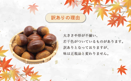 訳あり 栗 1kg 生むき栗 11月発送 ［BSAR013］