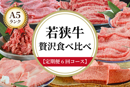 【定期便6回コース】　若狭牛　A5ランク贅沢食べ比べ定期便 [P-037012]