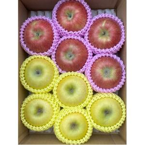 贈答用 シナノスイート、シナノゴールド詰合せ 約3kg【1551864】